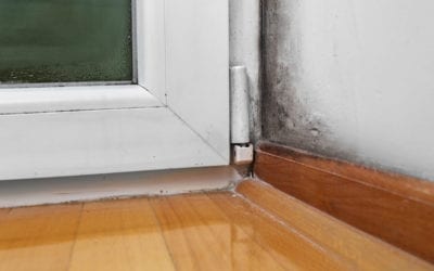 What Are The Best Ways To Prevent Mould Growth In Our Homes?